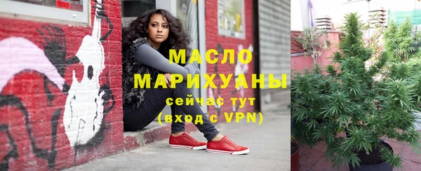 сатива Армянск